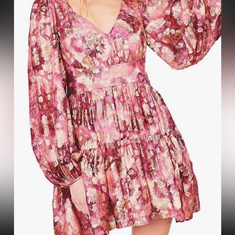 NWOT love shack fancy Willis dress 6